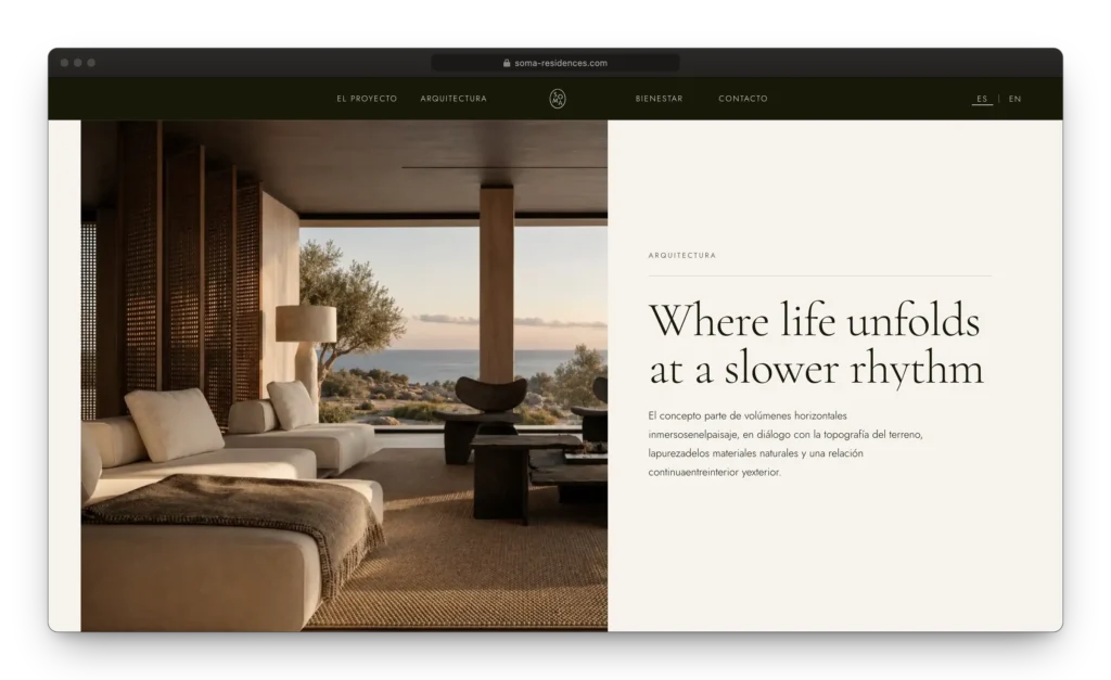 Desarrollo web SOMA